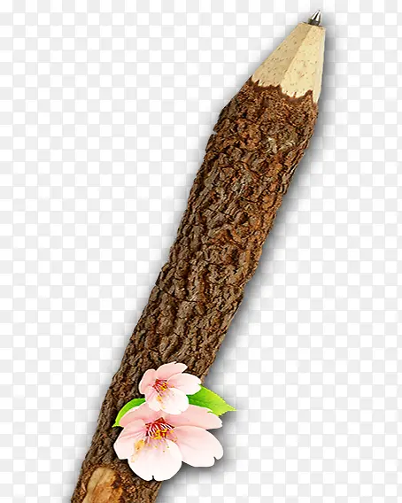 ��֦-������