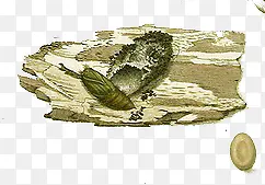 ����-������