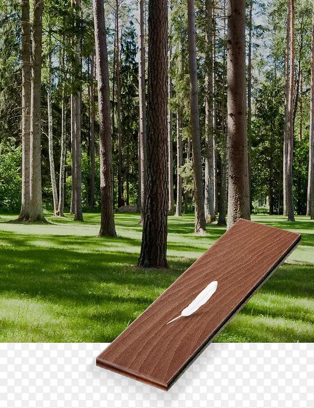 �ذ庣��-������