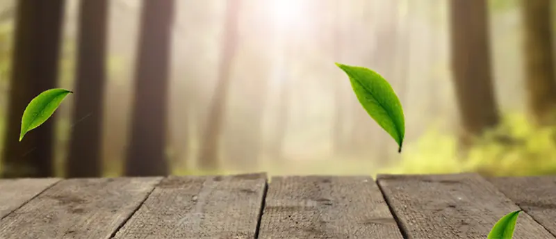 ��Ӱ�����ذ���ľ��Ҷ-������