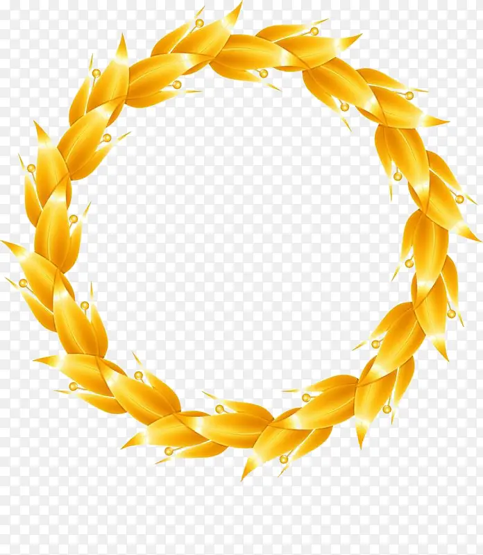 ��ɫԲ�α߿�-������