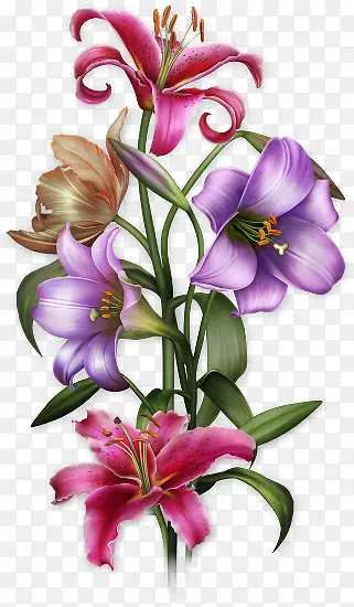 ��ɫ�ٺϻ�-������