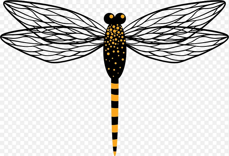 ����ʸ����ͨ����걾-������