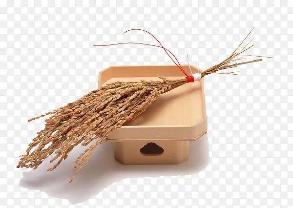 ��ʽ���Ų;ߵ���-������