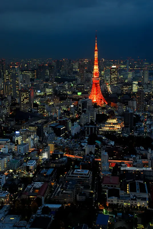 ҹɫ���ƶ���������-������