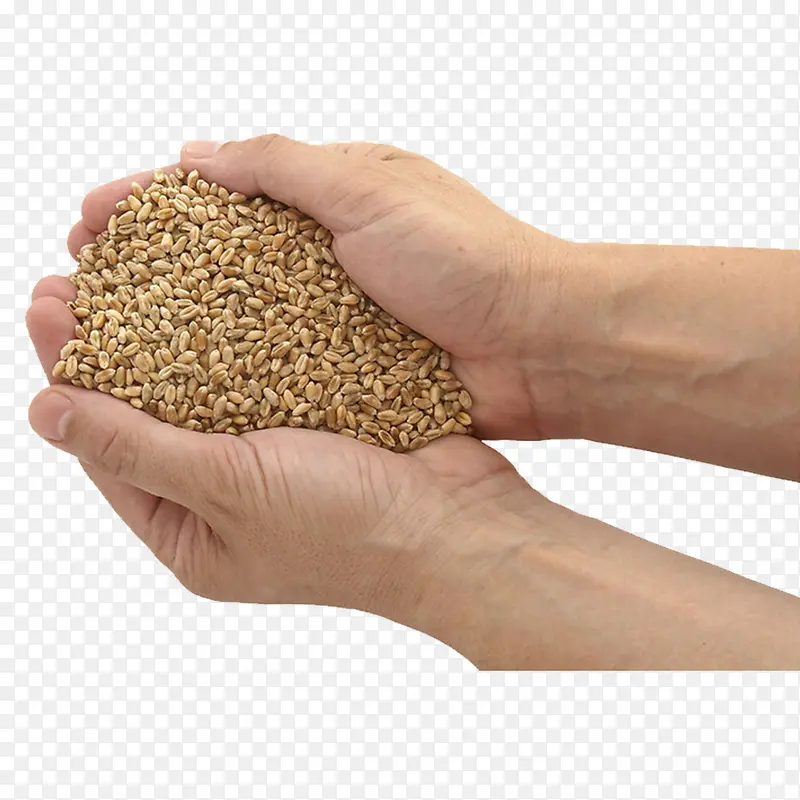 ����-������