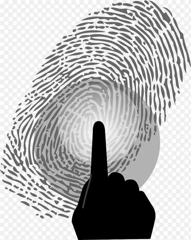 ������ָ��·-������