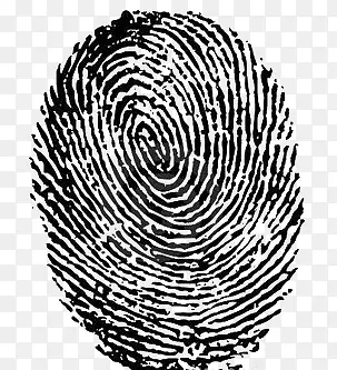 ָ��-������