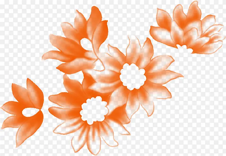 �������Ż���ͼ��-������