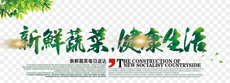 �����߲˽�������������-������