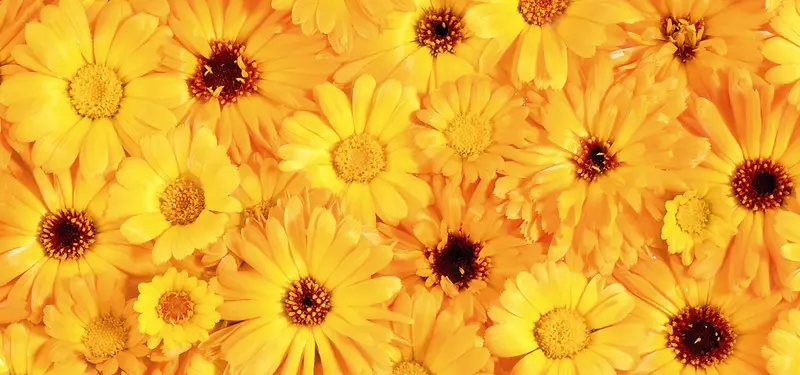 ������Ӱ����-������