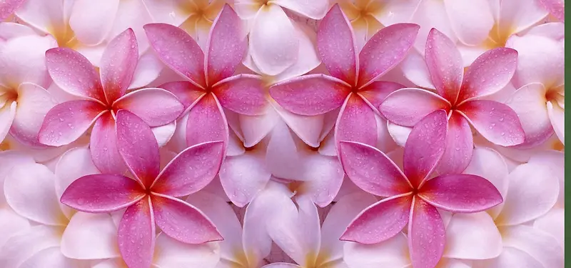 ������Ӱ����-������