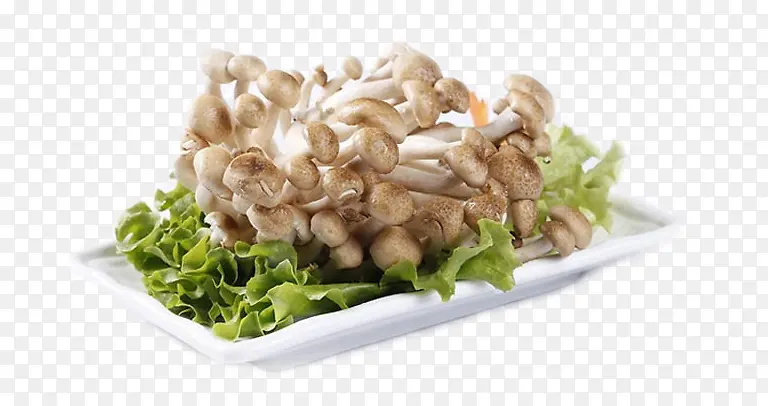 ��Ʒʵ��зζ��-������