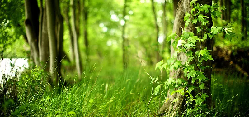 ΢����Ӱ����-������