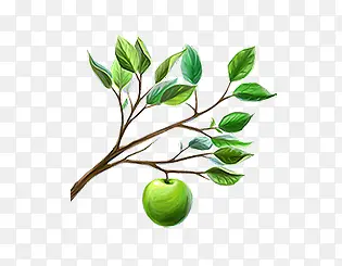 ��֦-������