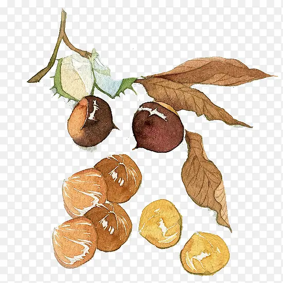 ˮ�ʰ���-������