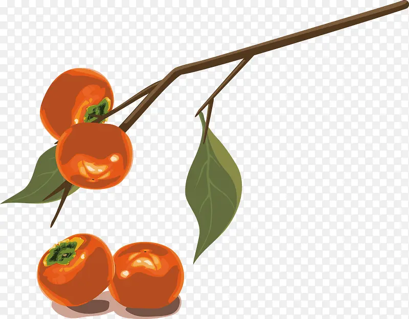 ���Ӻ���֦-������