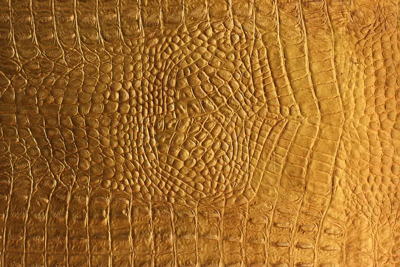 ����Ƥ����-������