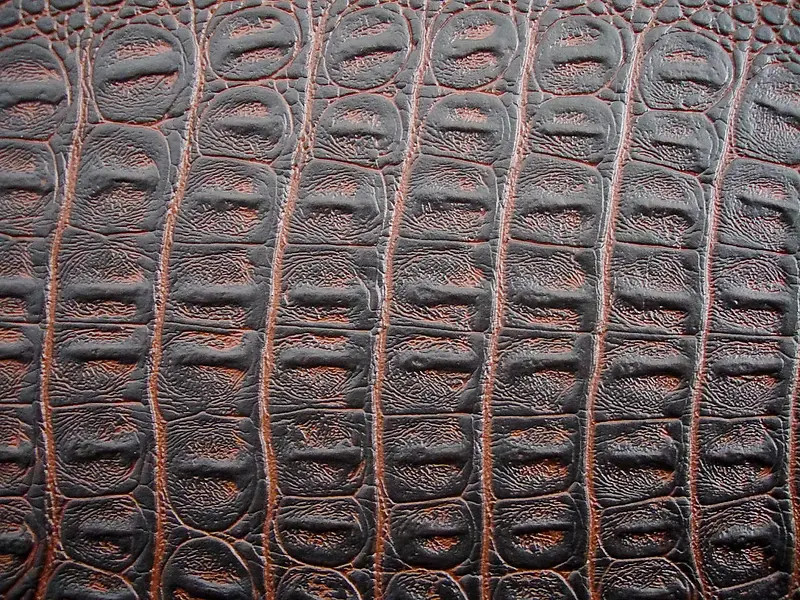 ����Ƥ���ʱ���-������