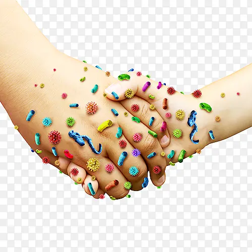 ������ϸ����Ⱦ-������