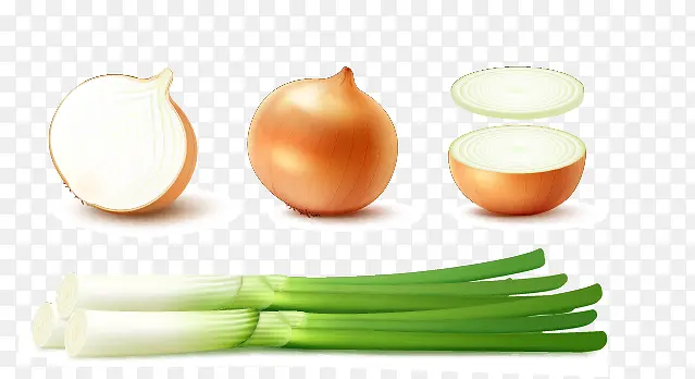 ��ɫ��кʹ��ʸ���ز�-������