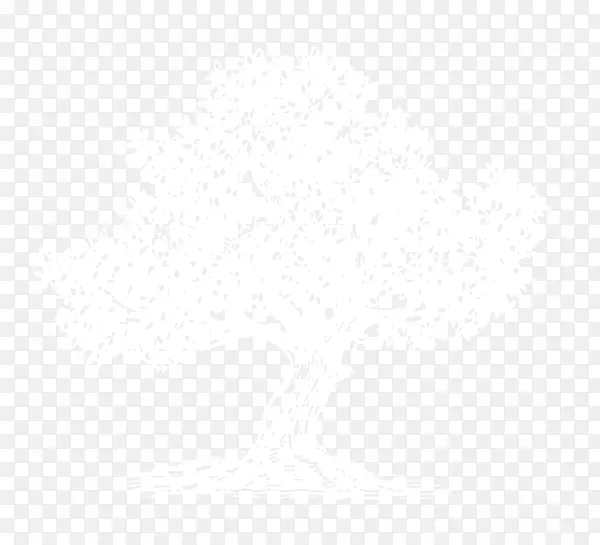 �����ʼ����Ϲ���ѧ������������ҵ��Ѷ�о���-�����-������