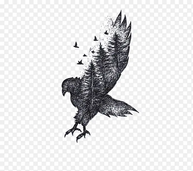 ��ӥ�廭-������