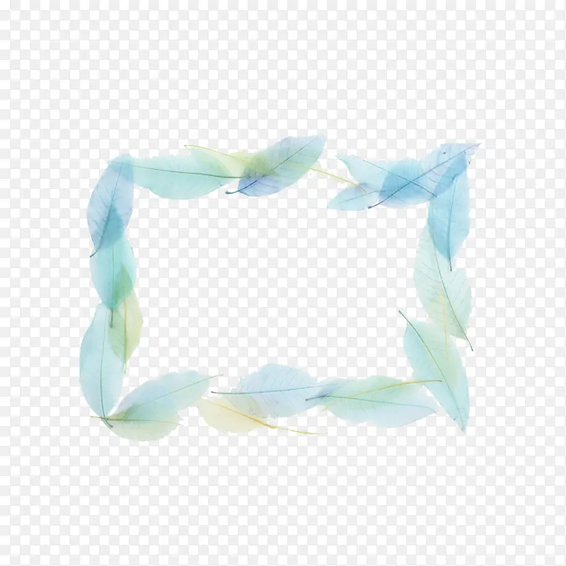 Ҷ�ӱ߿�-������