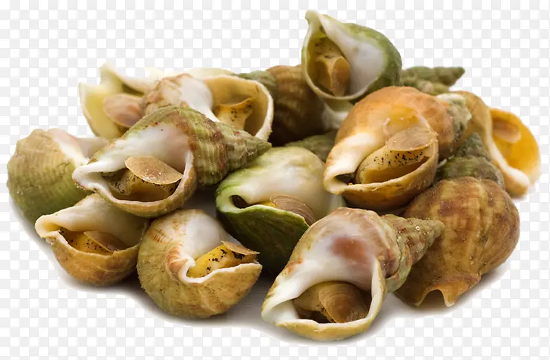 ����ʵ����Ӱ-������