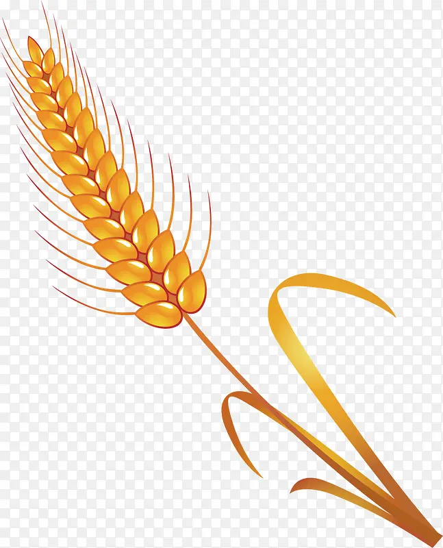 ���ɫ�ĵ���Ԫ��-������