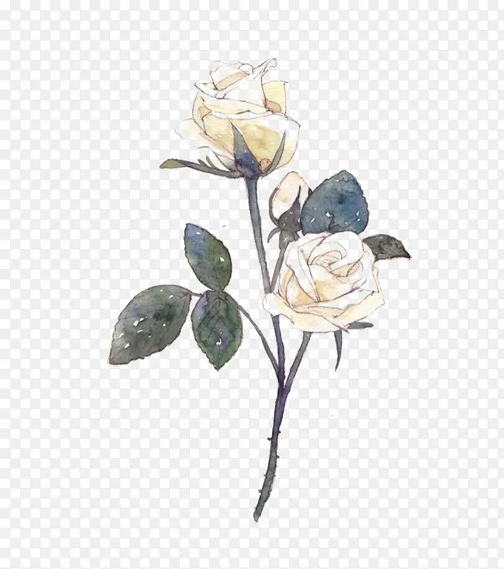 ��ɫõ��-������