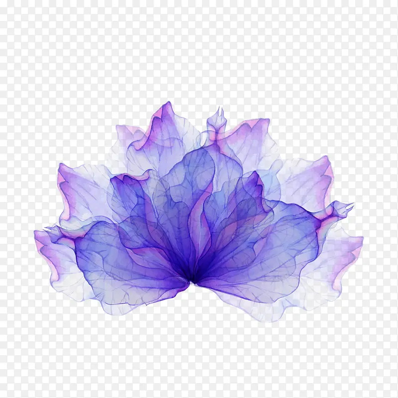 Ư��ʸ��ˮ�ʻ�-������