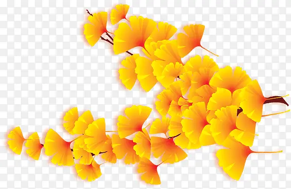 ��ɫֲ��Ҷ����֦618���д��-������