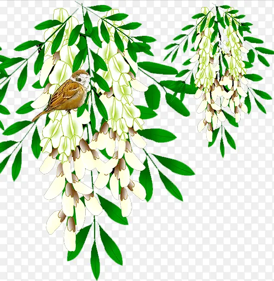 ����-������