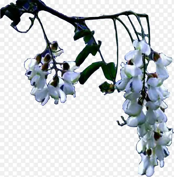 ����-������