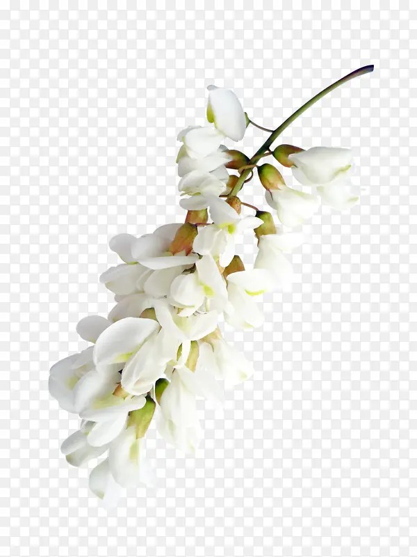 ��ɫ����-������