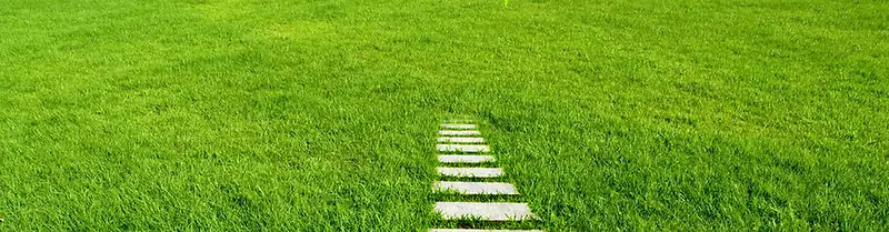 �ݱ���ͼ-������