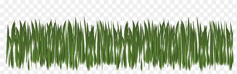 һȺ�̲�-������