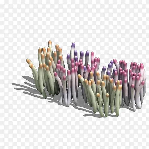 ����Ⱥ-������