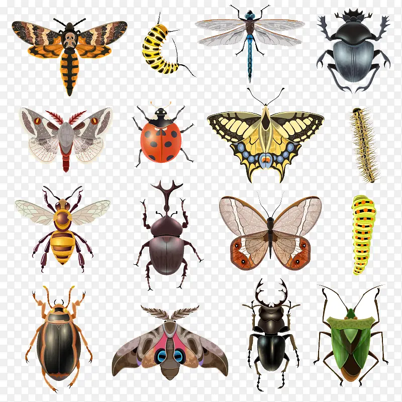 ��ͨ����-������