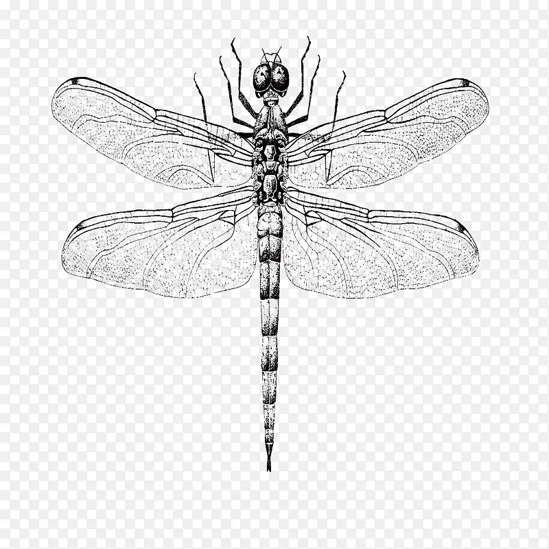 ʸ���ʻ�-������