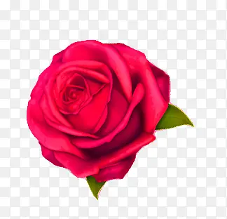 ��ɫõ�廨-������