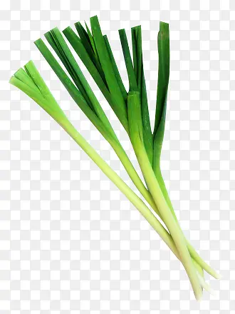 �л��߲�-������