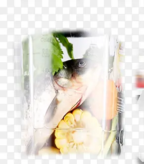 �����������߲����-������