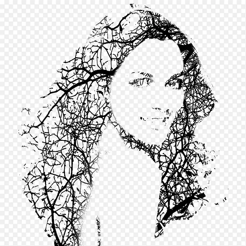 ������֦��ͷͼ��-������