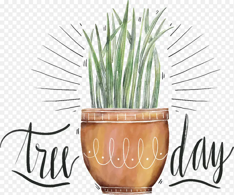 ���쿪��ֲ���װ������-������