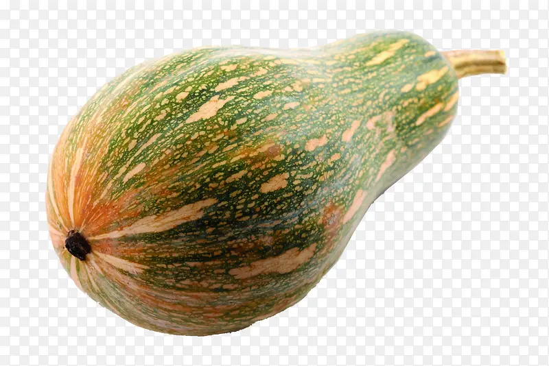 �Ϲ�-������