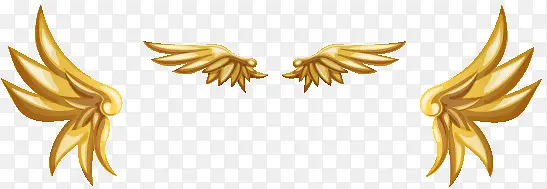 ��ɫ���-������