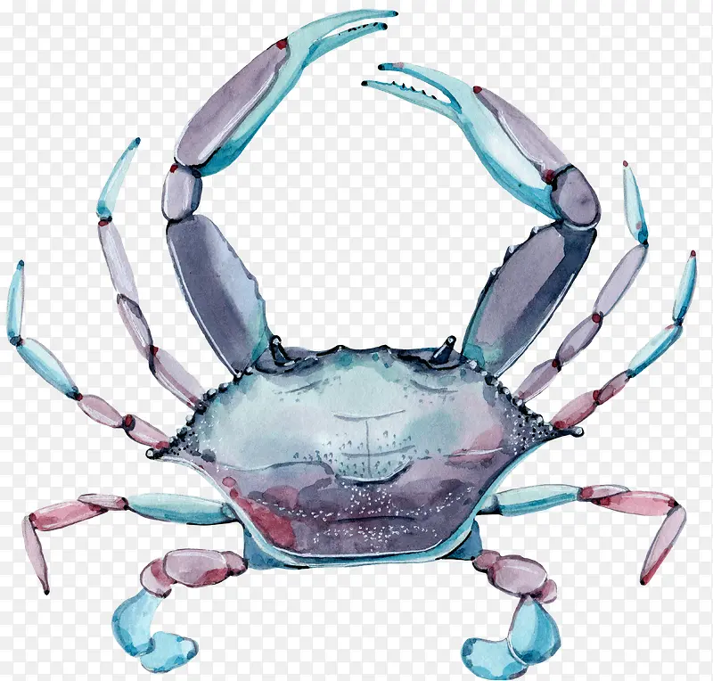 ��ɫ�з-������