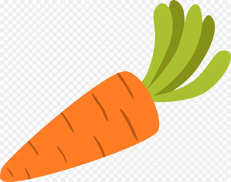 ��ɫ��ͨ�ܲ�-������